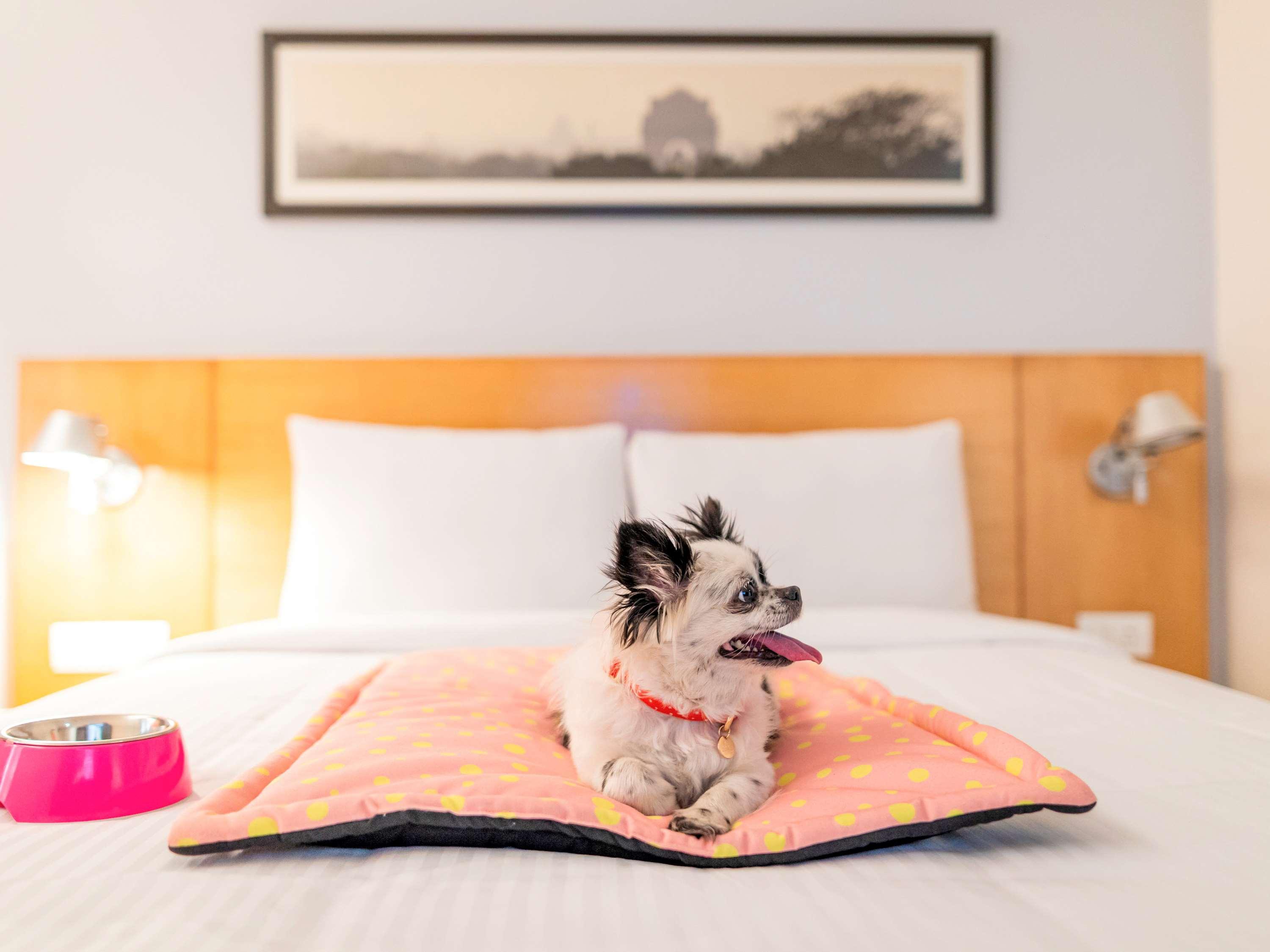 Ibis Kochi City Centre - An Accor Brand Ngoại thất bức ảnh